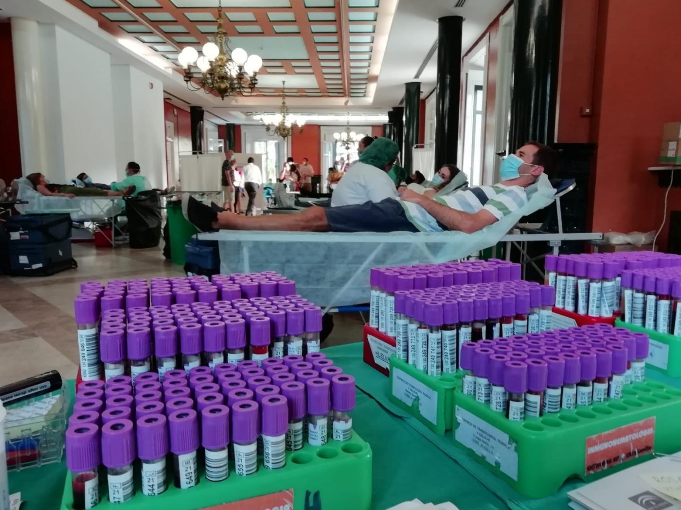 Imagen de una macrocolecta en la Casa Colón de Huelva - JUNTA DE ANDALUCÍA